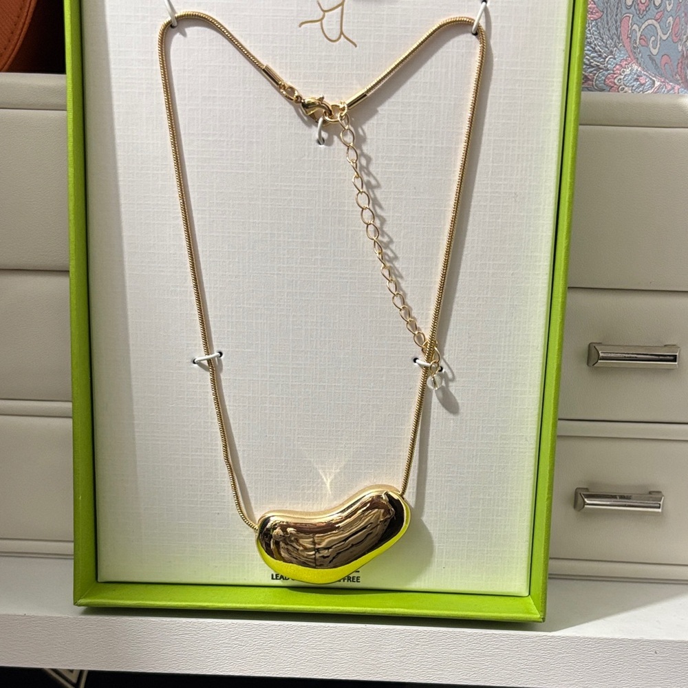 House of Harlow 1960 Gold and Brown Pendant Necklace